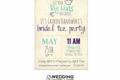 LuBridalShower-Sample